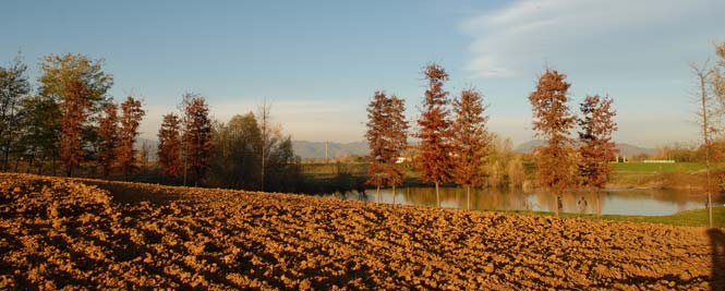 la Carta della Terra 